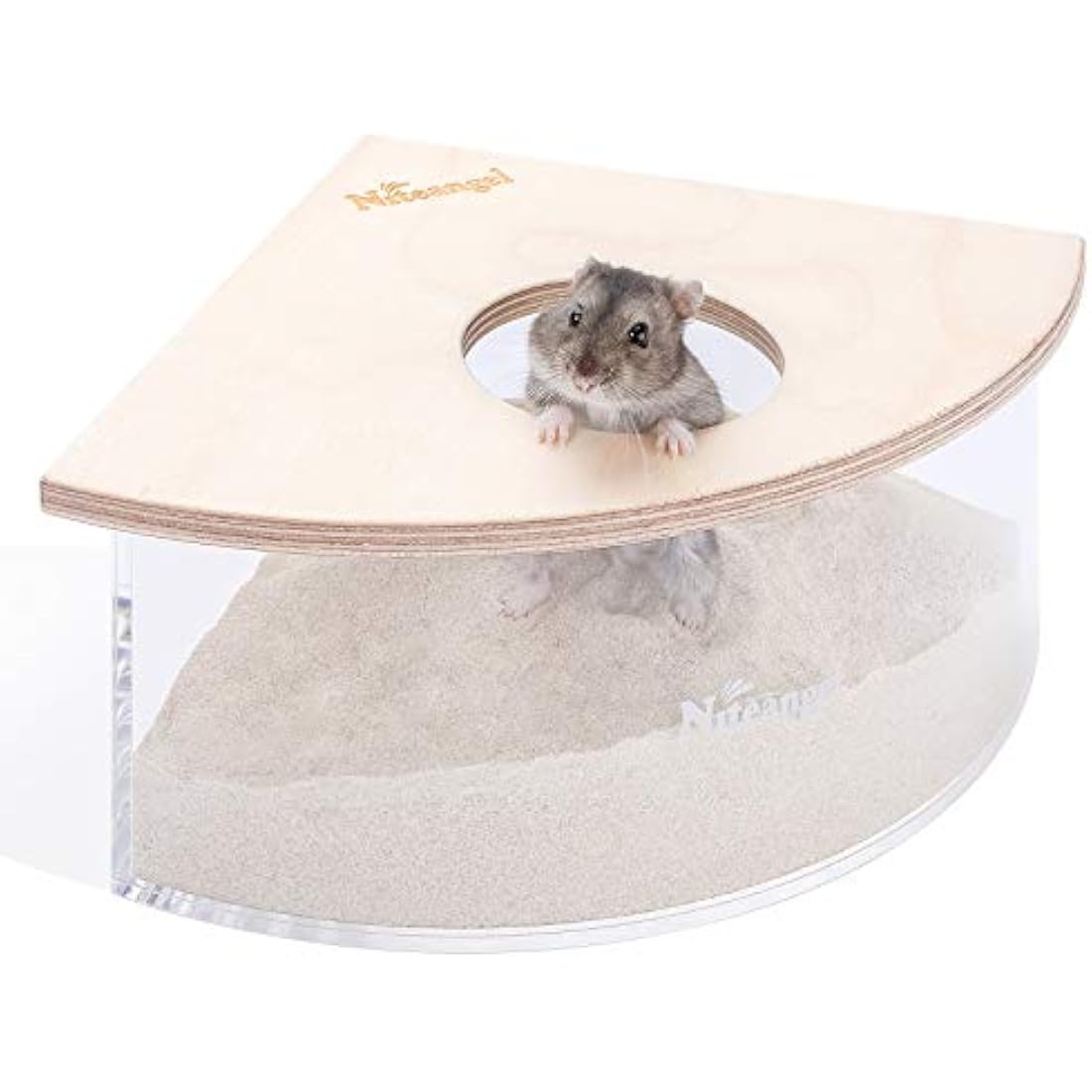 Niteangel Acrylic Hamster Sand Bath Box – Fan-Shaped Digging Container