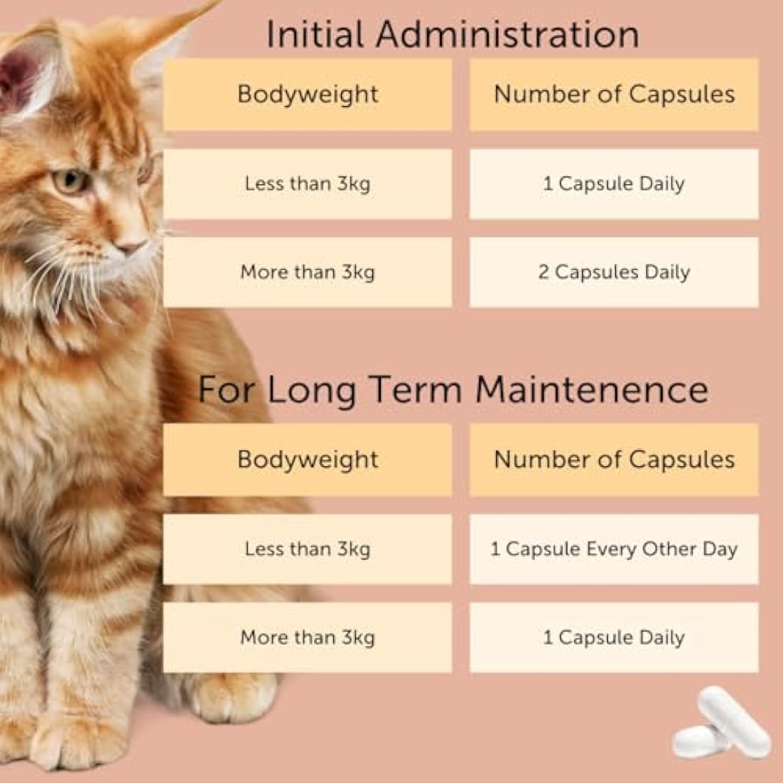 Feliway Cystease Cat Urinary Supplement - Bladder Support, 30 Capsules