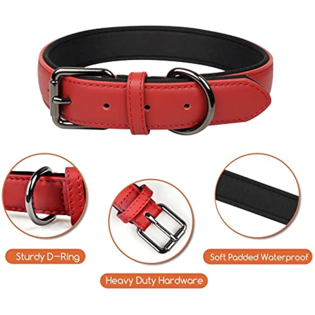 Jolof Store Red Leather Dog Collar – Soft Padded Adjustable Pet Collar