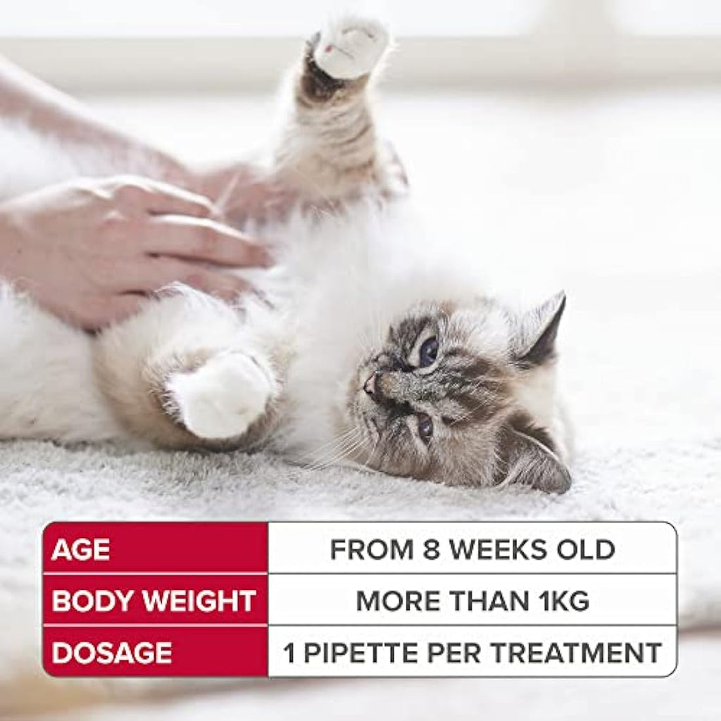 Beaphar FIPROtec Spot-On Flea and Tick Treatment for Cats – 6 Pipettes