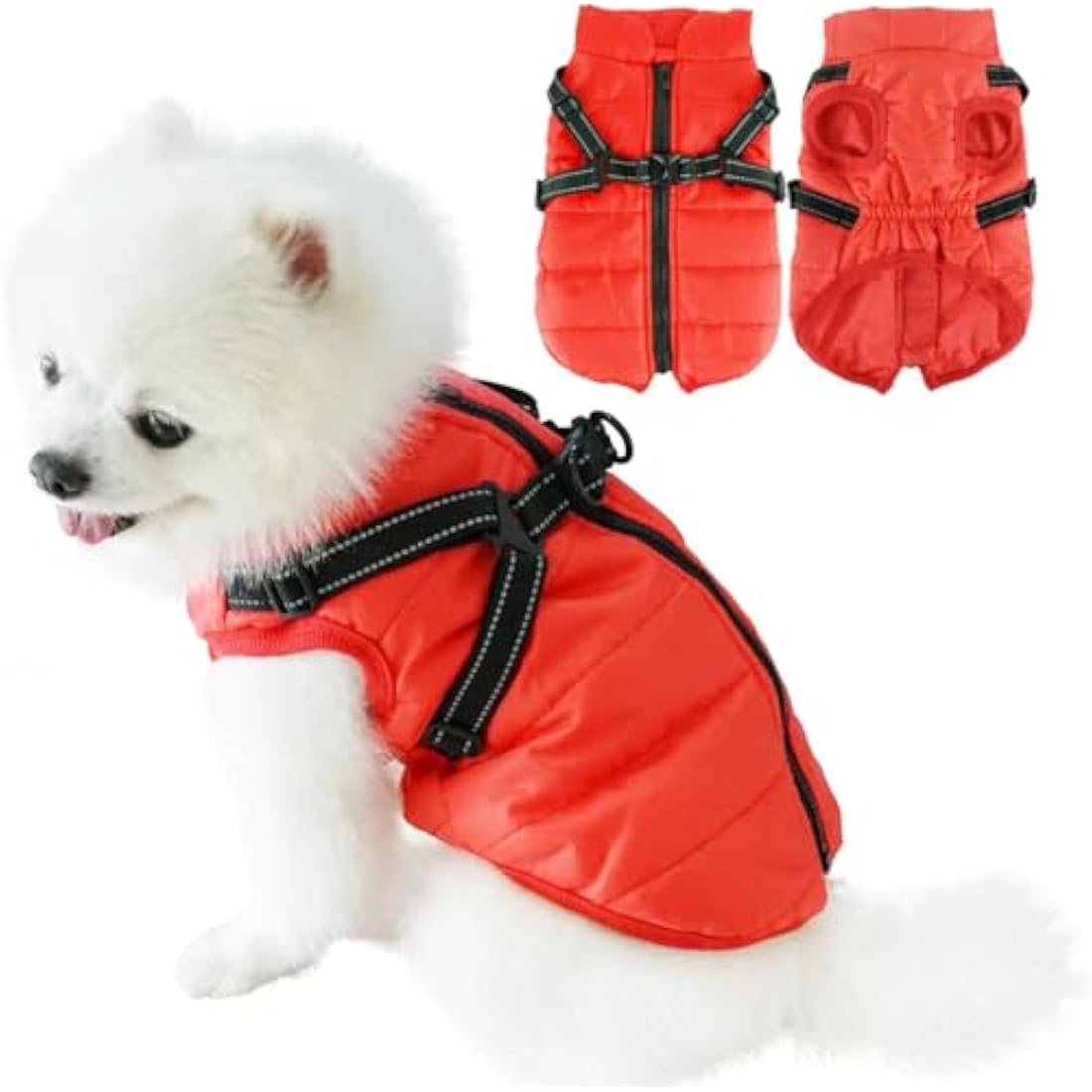 Jolof Store Waterproof Dog Coat with D-Ring – Warm Winter Puppy Jacket