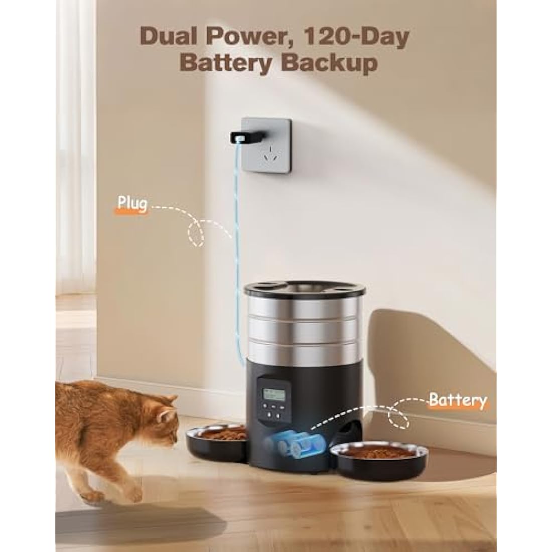 Jolof Store Automatic Cat Feeder for 2 Cats | 5L Stainless Steel Dispenser
