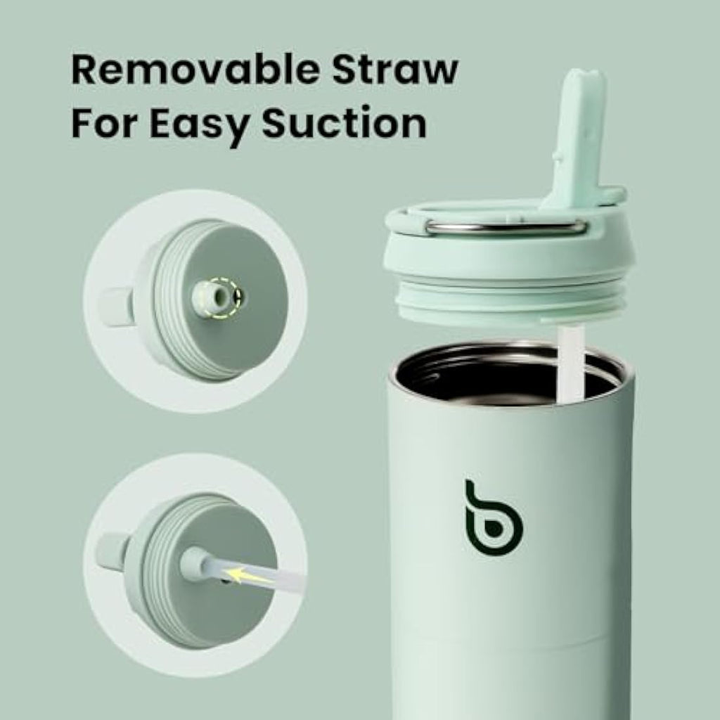 Insulated Stainless Steel Water Bottle with Straw - 700ml