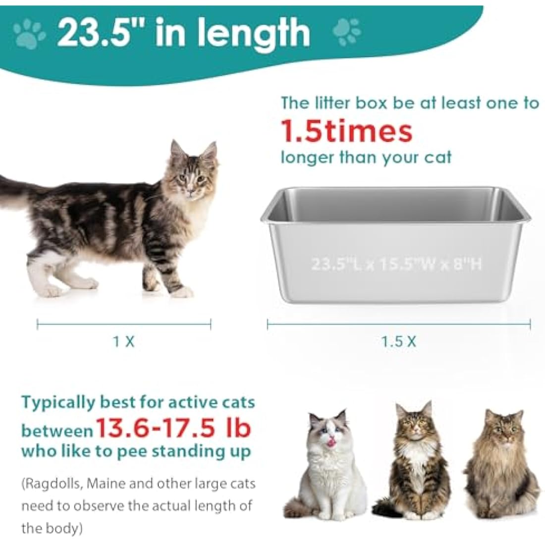 Stainless Steel Cat Litter Box – Extra Large High Sided Metal