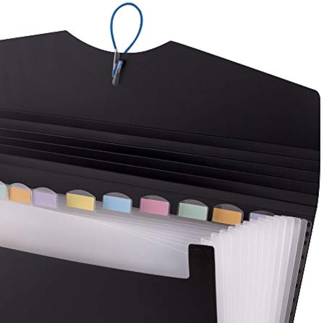 D.RECT A4 Expanding File Folder | 12-Pocket Document Organiser - Black