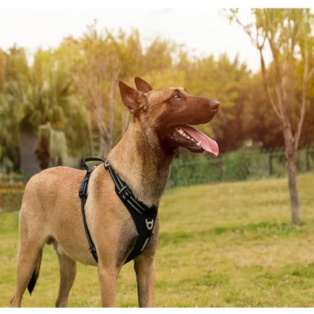 WINHYEPET No-Pull Dog Harness | Reflective Nylon Outdoor Vest - Orange