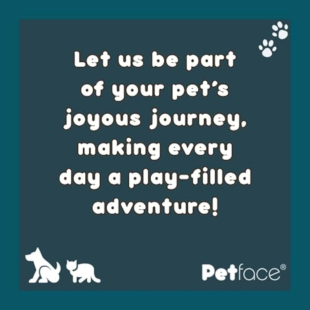 Petface Melamine Double Cat Food and Water Bowl | Orange & Red