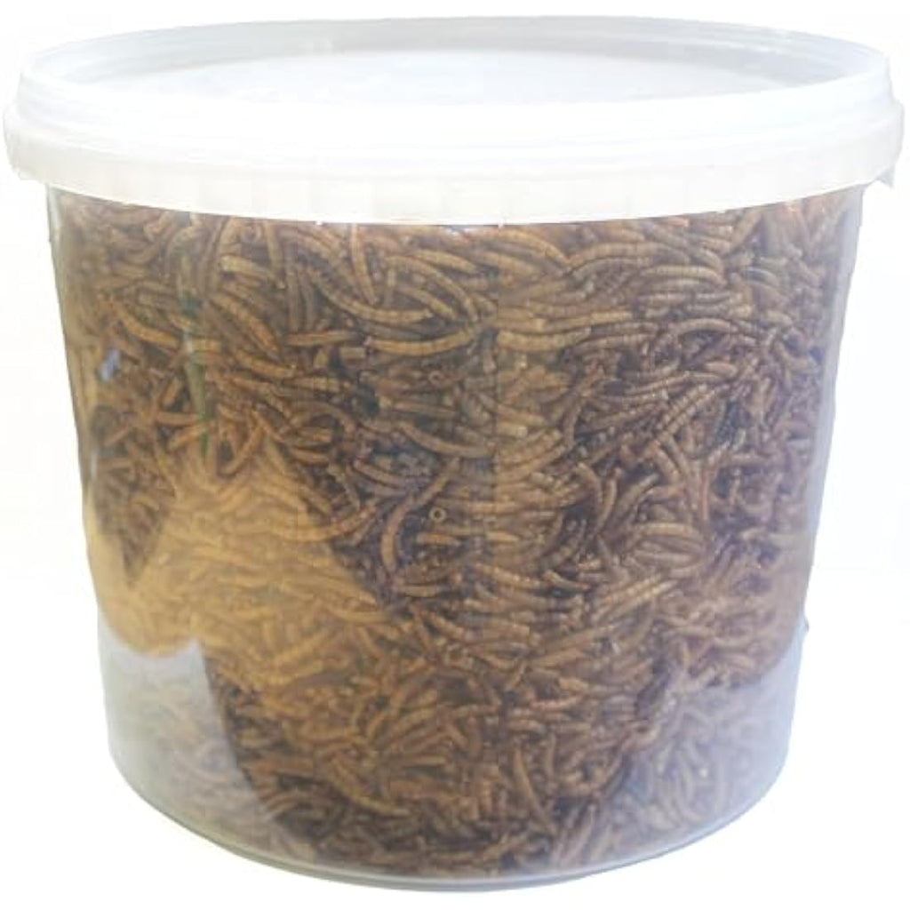 Jolof Store Dried Mealworms for Wild Birds - High Protein Feed, 5L Tub