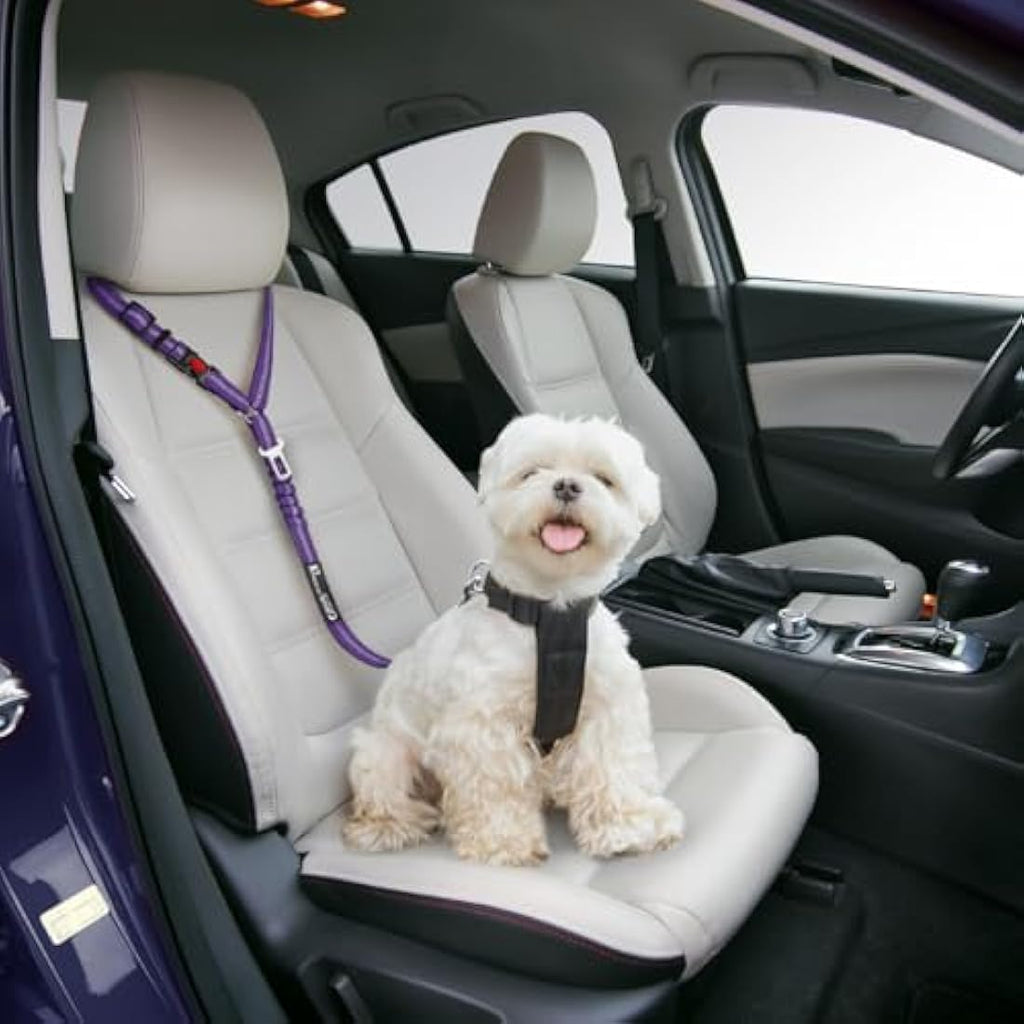 PETZANA Dog Car Seat Belt – 2-Pack Adjustable Bungee Safety Restraint