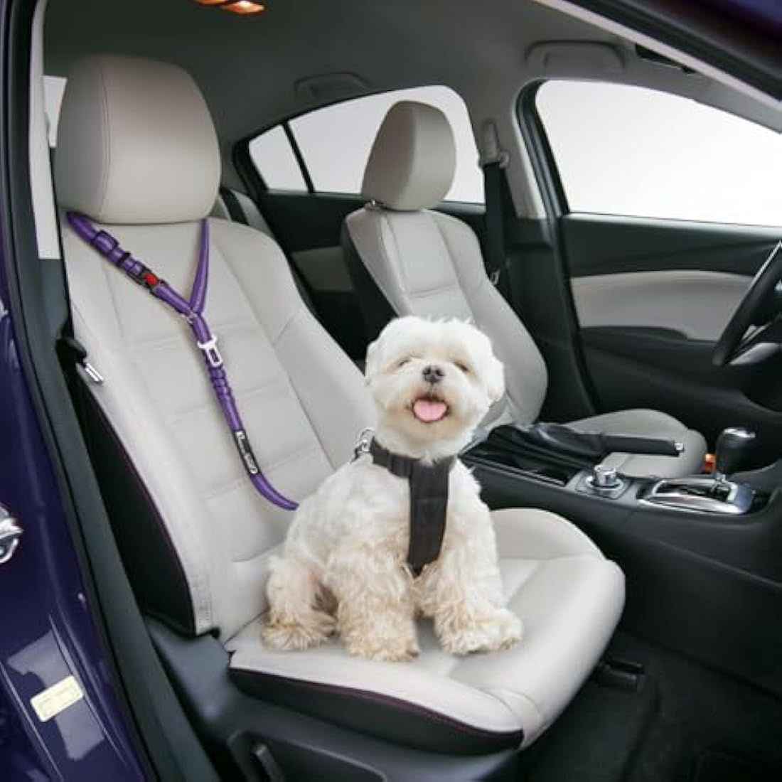 PETZANA Dog Car Seat Belt – 2-Pack Adjustable Bungee Safety Restraint
