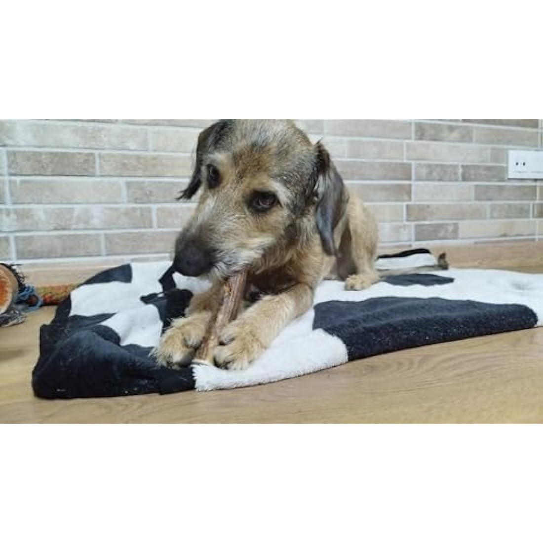 Artisan Gift Co Natural Deer Antler Dog Chews – Large 2-Pack (300g)