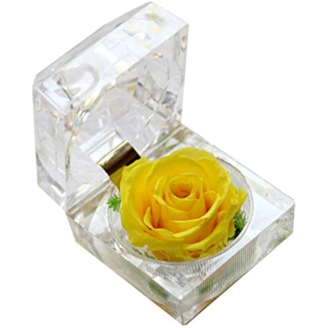 Jolof Store Preserved Yellow Rose in Acrylic Crystal Ring Box – 2 Inch
