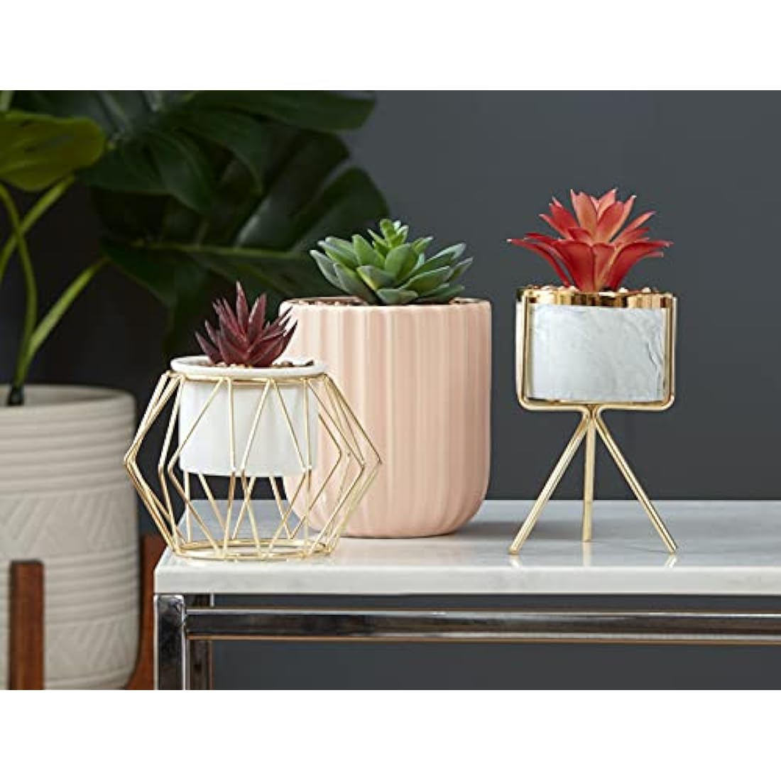 Jolof Store Faux Red Leaf Marble Succulent - Waterproof Indoor Plant