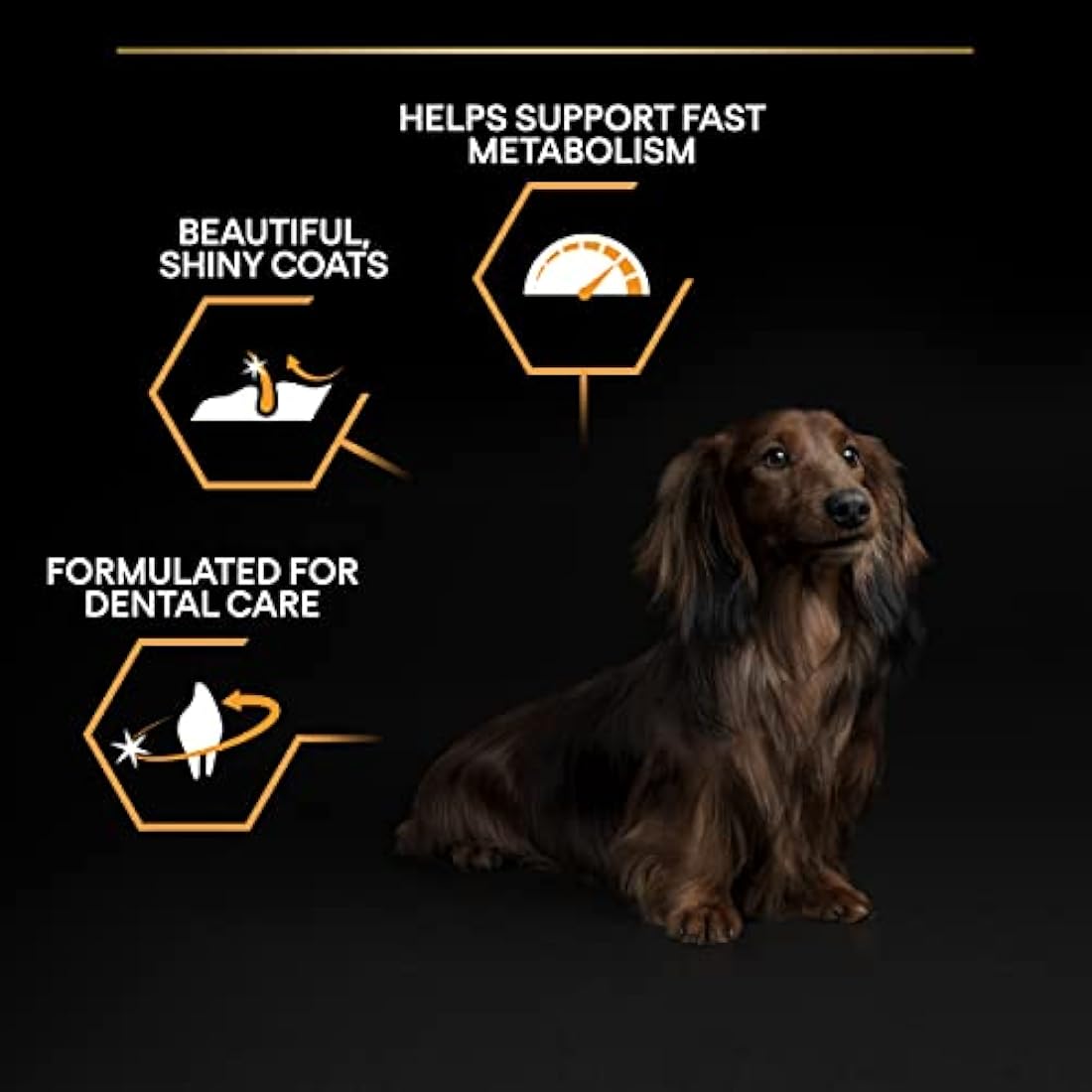 Purina Pro Plan Small & Mini Adult Dry Dog Food - Chicken Recipe 7kg