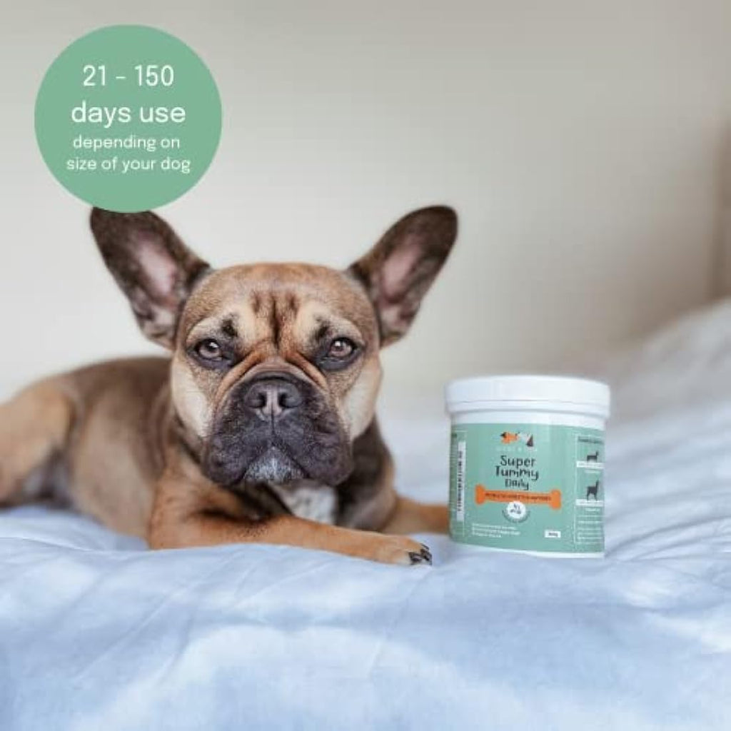 Buddy & Lola Dog Probiotics & Prebiotics Powder – Digestive Support 300g