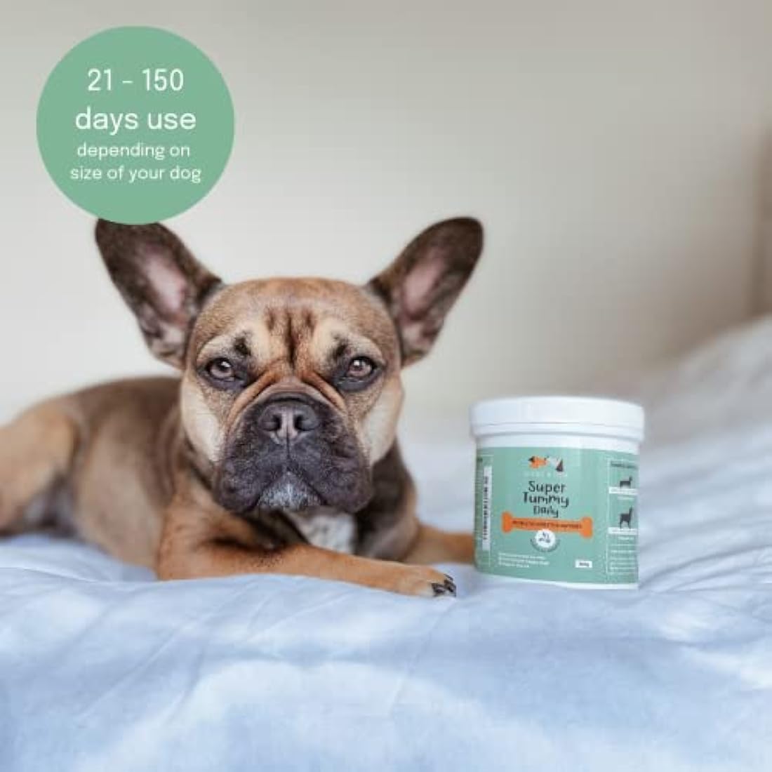 Buddy & Lola Dog Probiotics & Prebiotics Powder – Digestive Support 300g