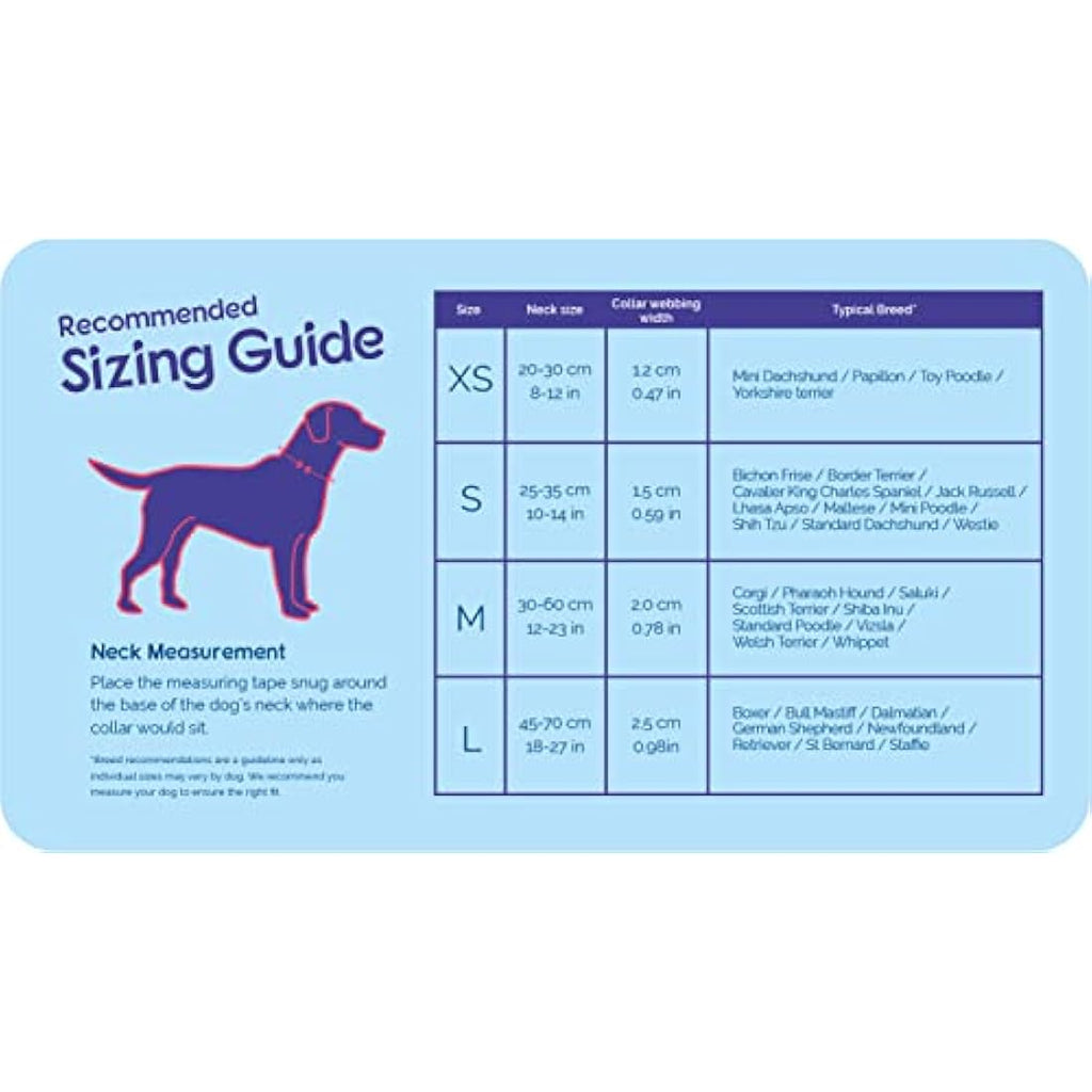HALTI Neoprene-Padded Reflective Nylon Dog Collar | Purple, Medium