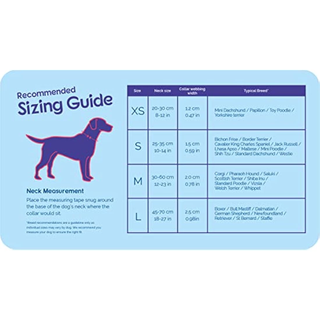 HALTI Neoprene-Padded Reflective Nylon Dog Collar | Purple, Medium