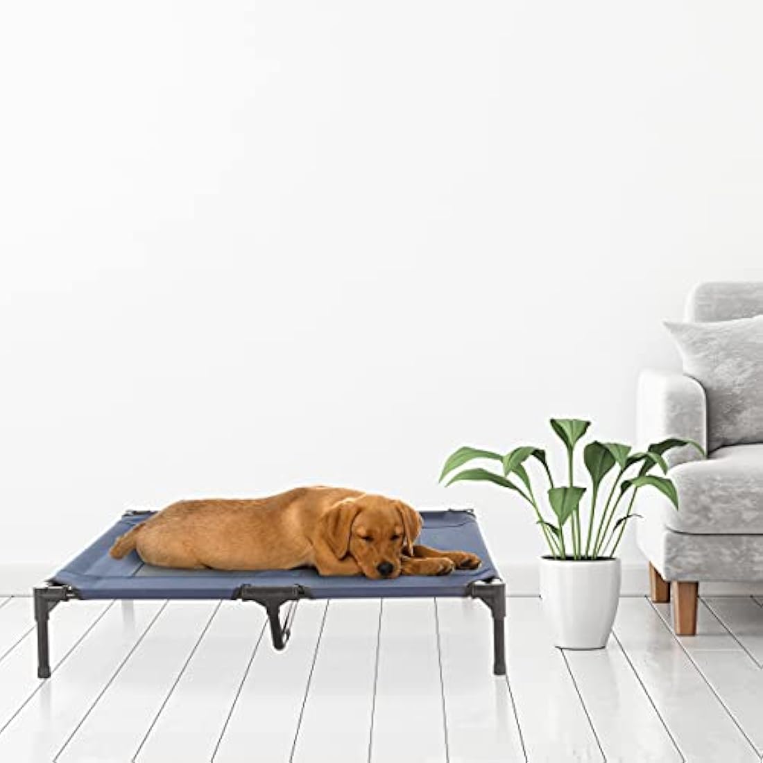PETMAKER Elevated Dog Bed – Large Portable Cooling Pet Cot with Case, Blue
