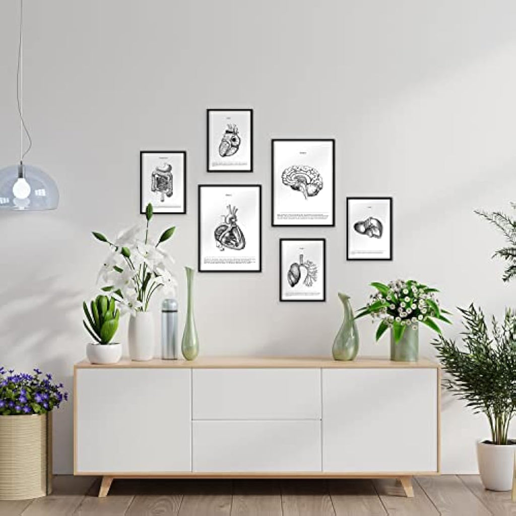 Nacnic Set of 6 Anatomical Internal Organ Posters | A3/A4 White Frame