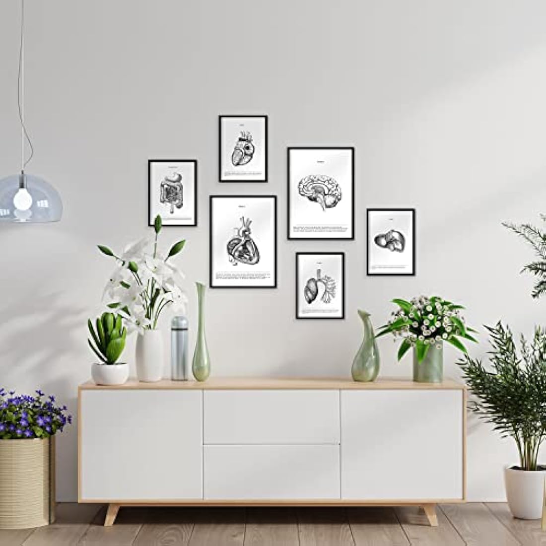 Nacnic Set of 6 Anatomical Internal Organ Posters | A3/A4 White Frame