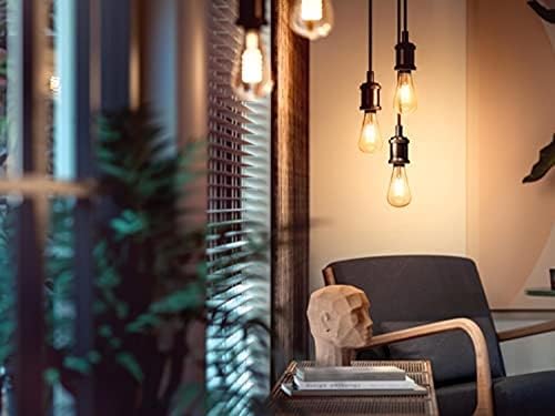 Philips Hue White Ambiance ST64 Filament Smart LED Bulb | E27