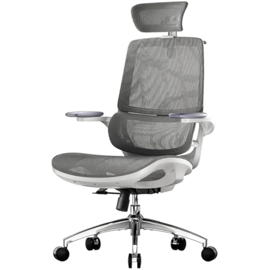 SIHOO M59AS Ergonomic Office Chair - Mesh Desk Chair with 3D Armrests
