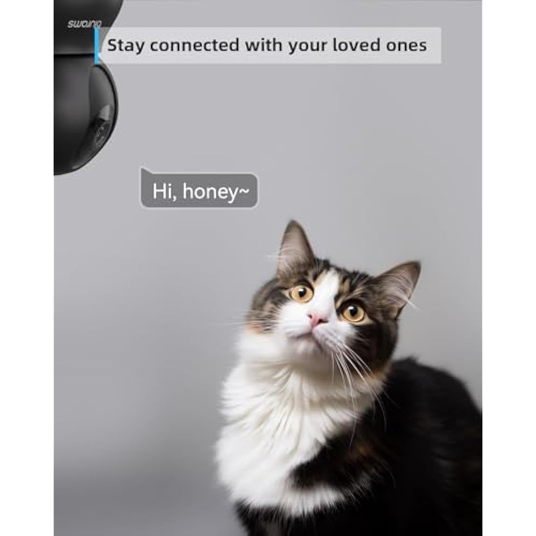 blurams 2K Pet Camera – 360° Indoor Security Camera with Night Vision