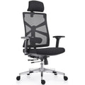 HOLLUDLE Ergonomic Office Chair – High Back Mesh Desk Chair with 4D Armrests