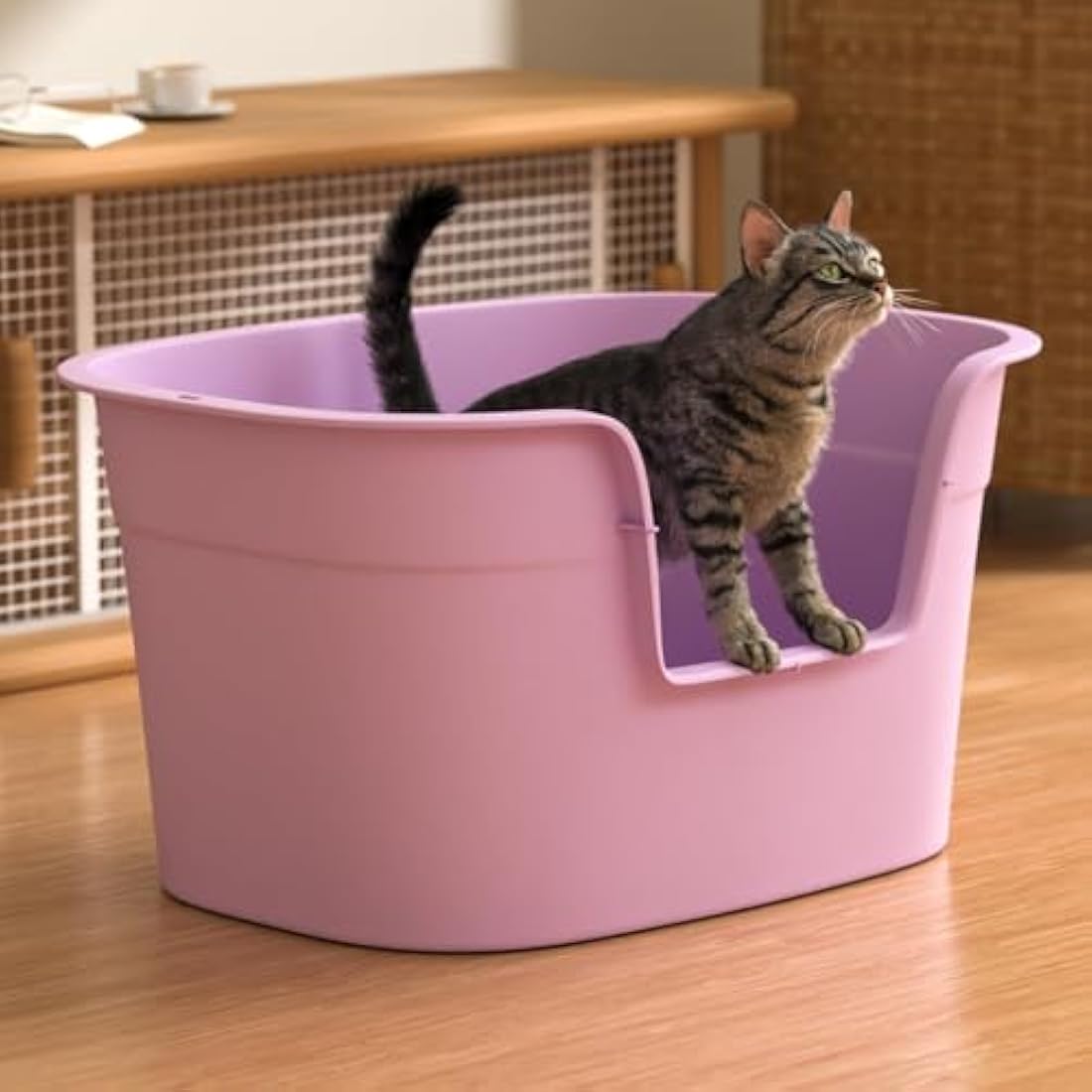 Jolof Store Extra Large Cat Litter Tray – High-Sided XL Box, Purple