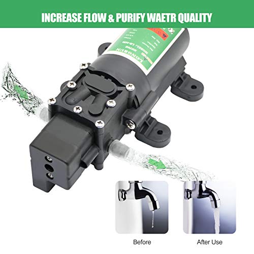 LONGRUN 12V Diaphragm Water Pump | 100 PSI Self Priming for Caravan & Boat