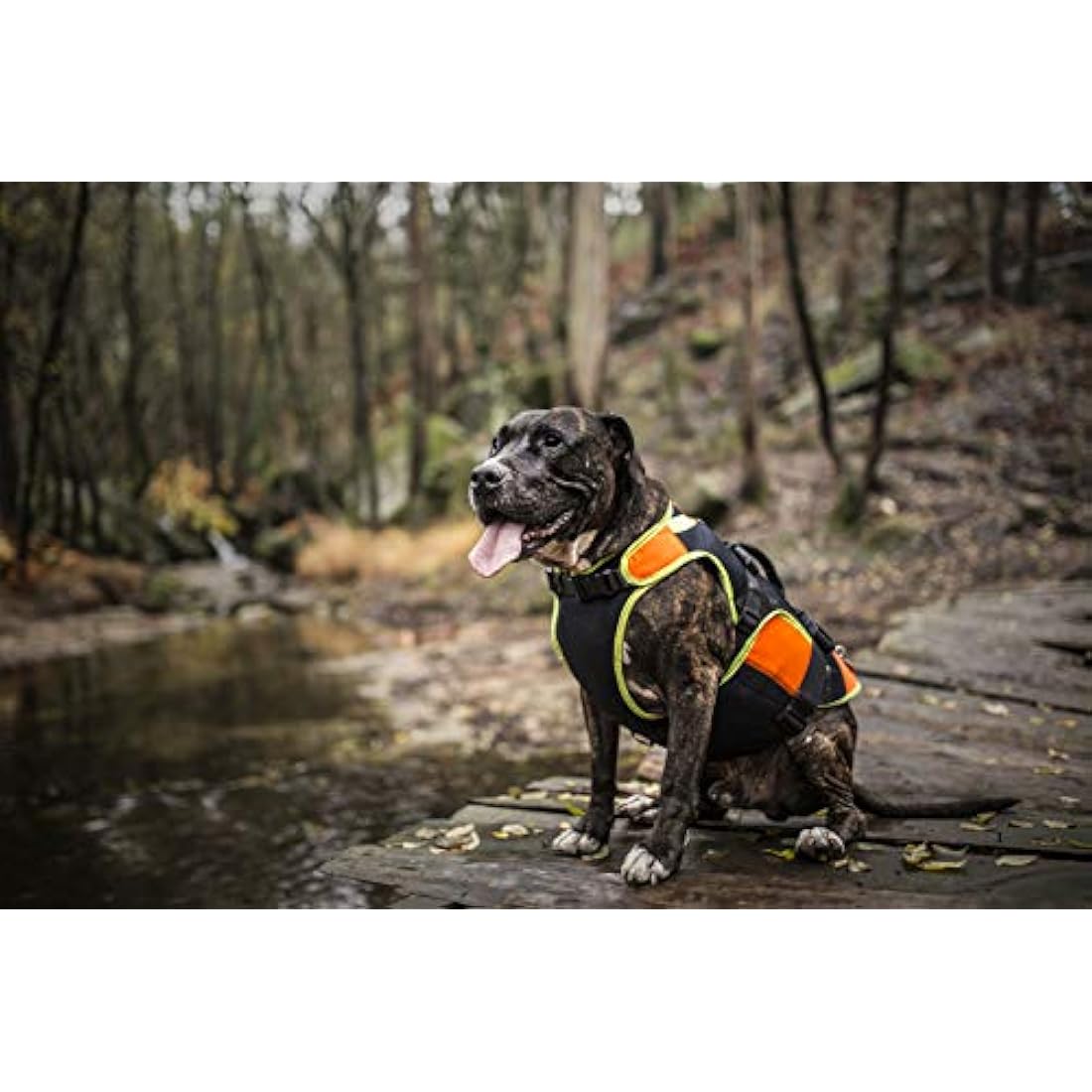 Julius-K9 IDC 3-in-1 Dog Vest – Swimming, Rehab & Winter Coat, Size S