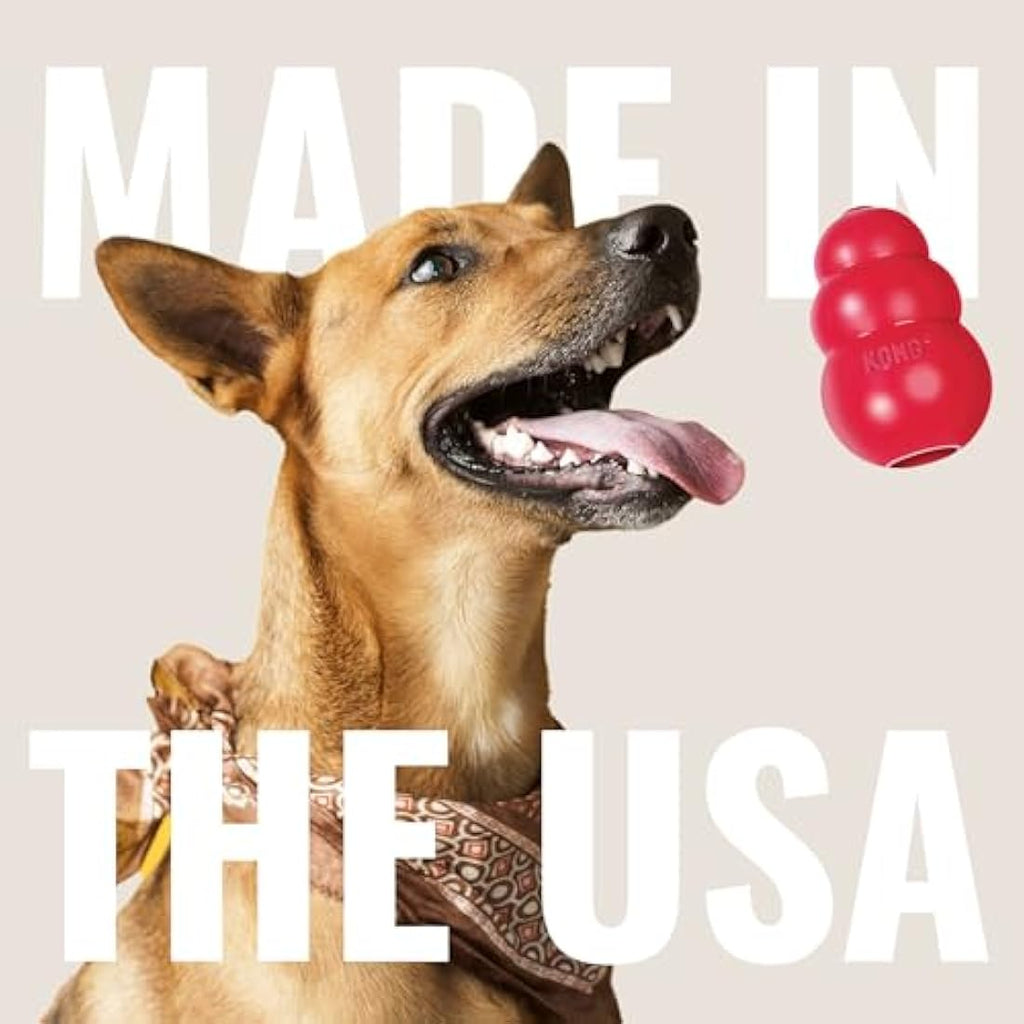 KONG Ring Durable Natural Rubber Dog Chew Toy for Medium/Large Dogs