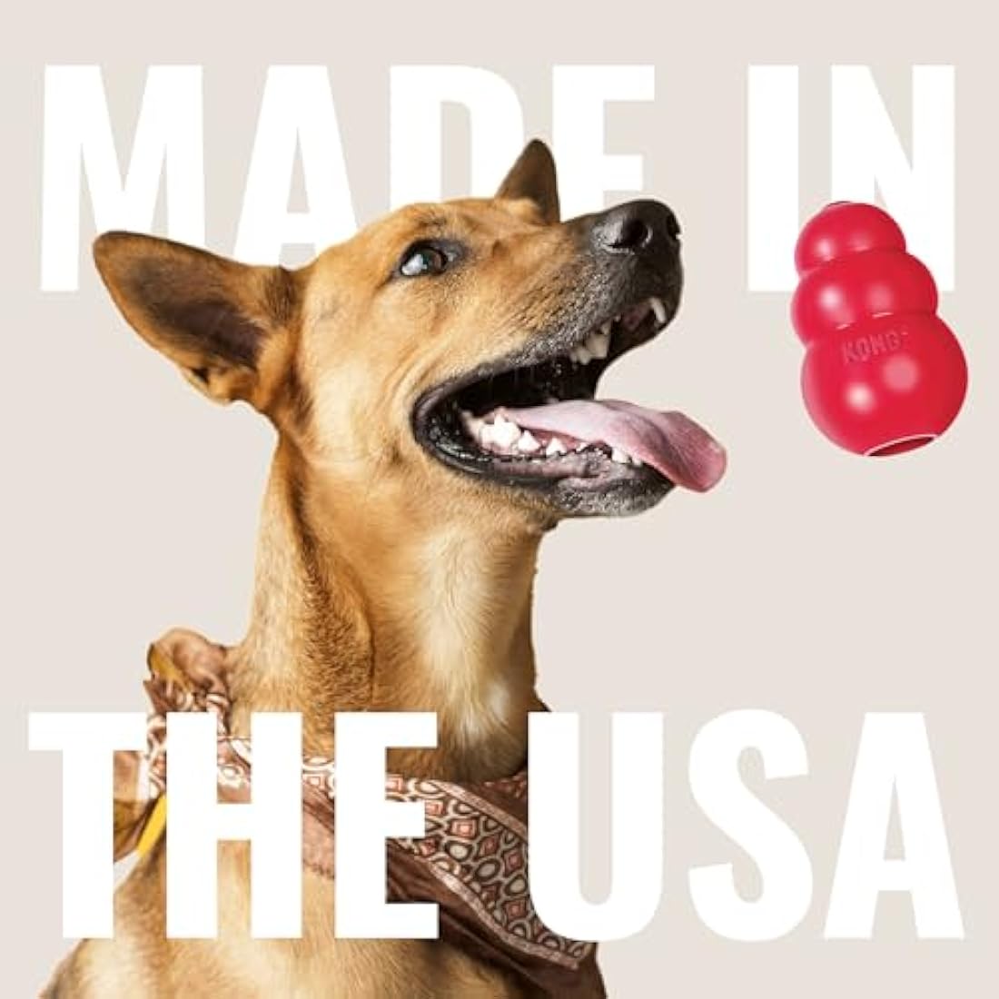 KONG Ring Durable Natural Rubber Dog Chew Toy for Medium/Large Dogs