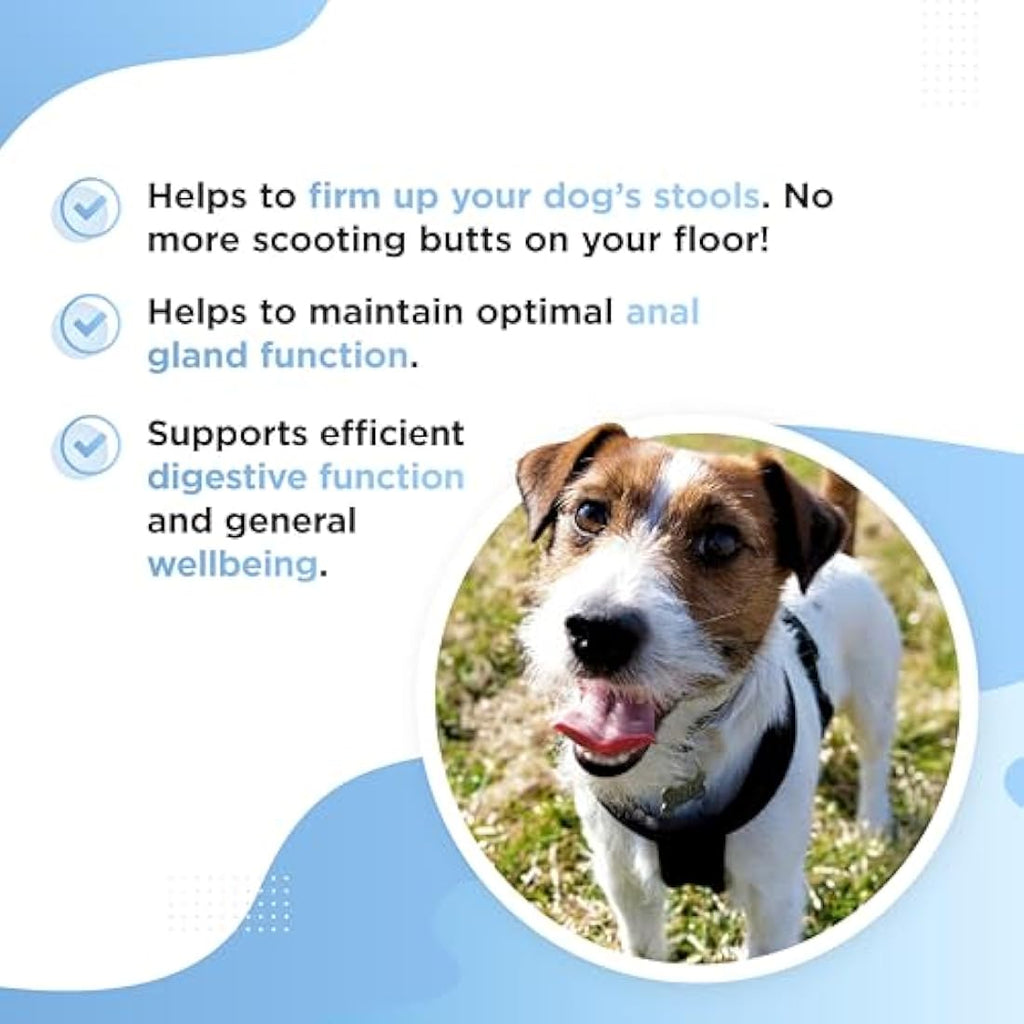 Dog's Lounge Scooter – Anal Gland & Digestive Fiber Chews for Dogs