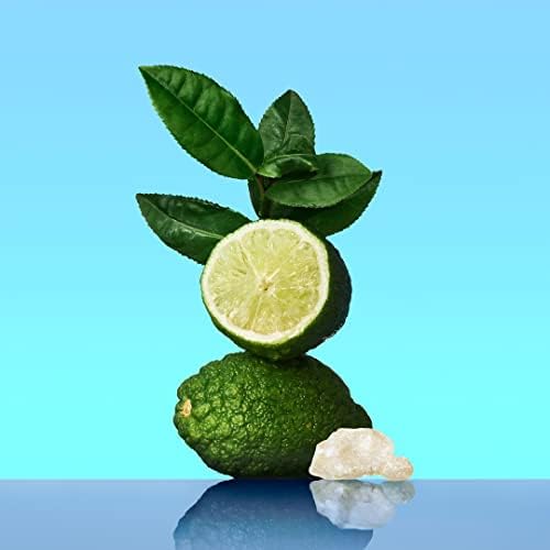 Calvin Klein CK One Unisex Eau de Toilette – Citrus & Aromatic – 200ml