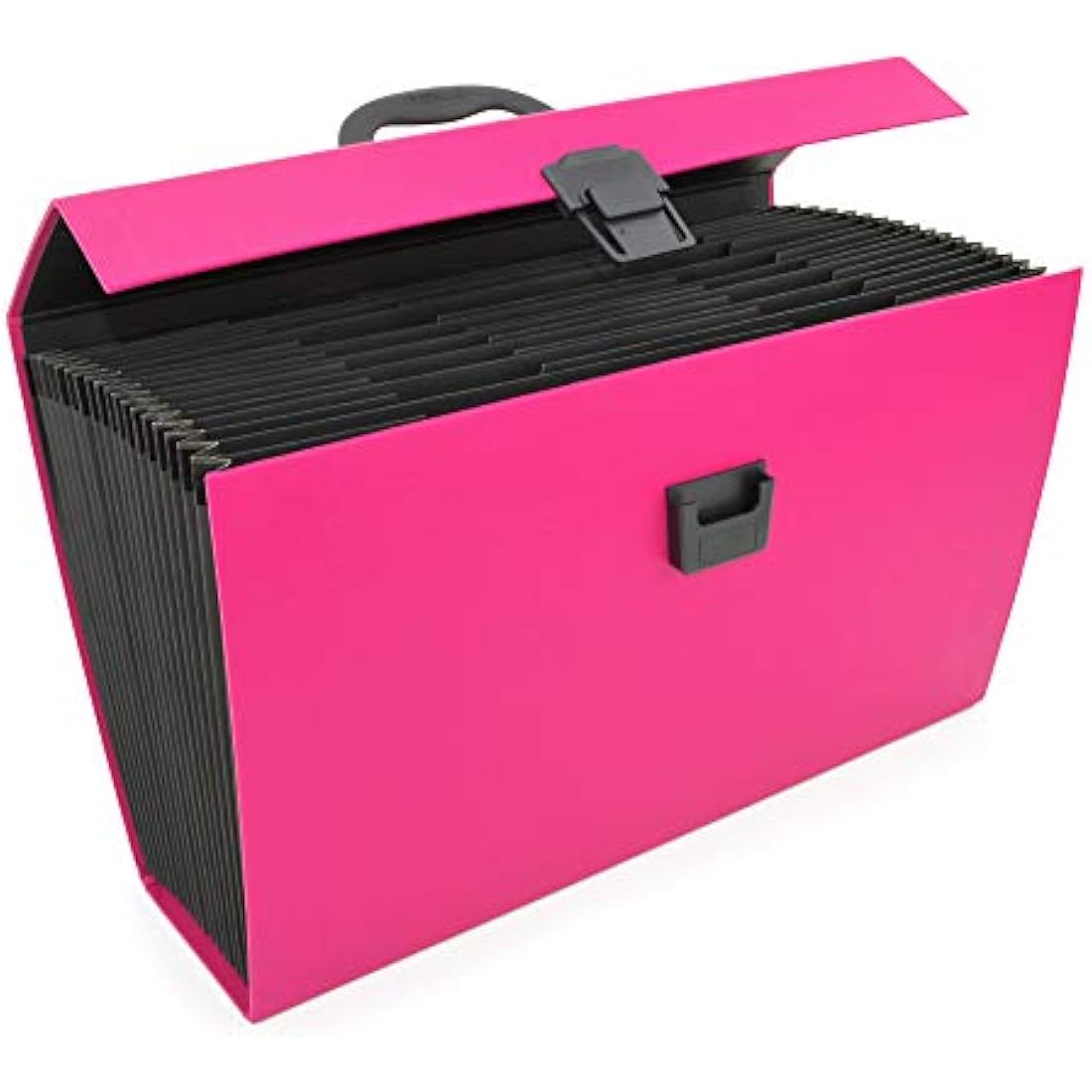 Rapesco 19-Part Expanding Box File Document Organiser, A4+, Hot Pink