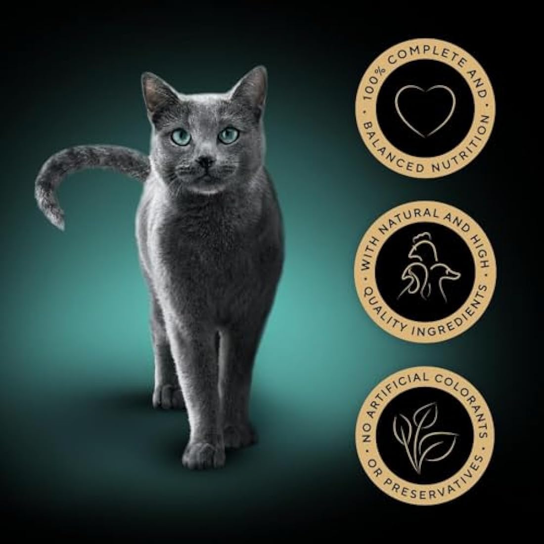 Sheba Wet Cat Food Slices in Gravy - Poultry Selection 120x85g