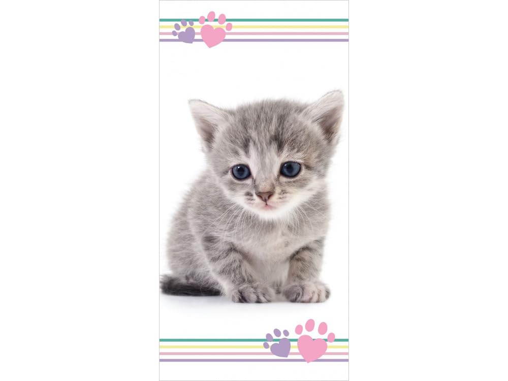 APTEX Cat Print Bath and Beach Towel | 100% Cotton | 70 x 140 cm