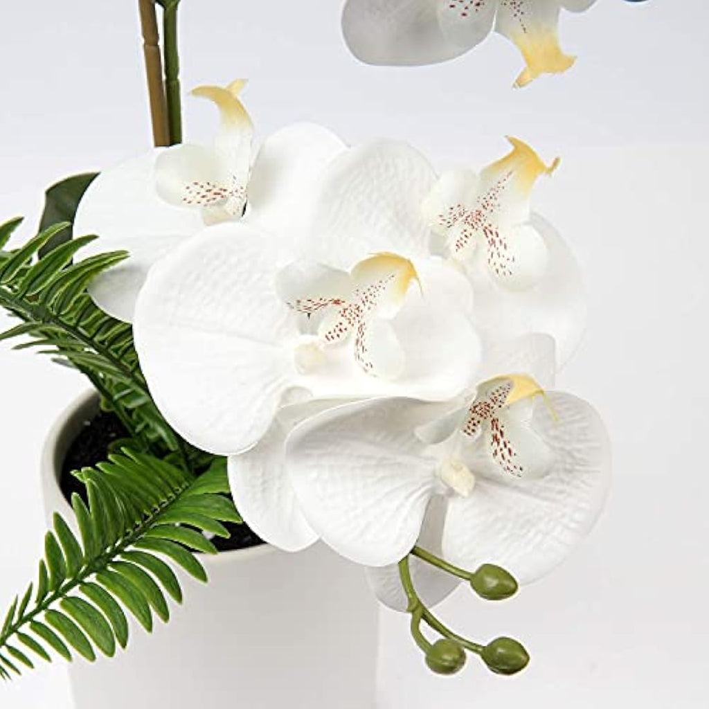 Briful White Artificial Orchid in Ceramic Pot | Faux Phalaenopsis Plant