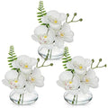 Briful Set of 3 White Artificial Orchids in Glass Vase | Real Touch Faux