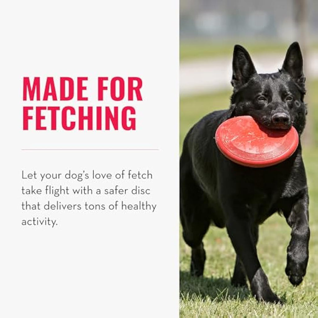 KONG Flyer – Durable Natural Rubber Flying Disc Dog Toy for Small Dogs