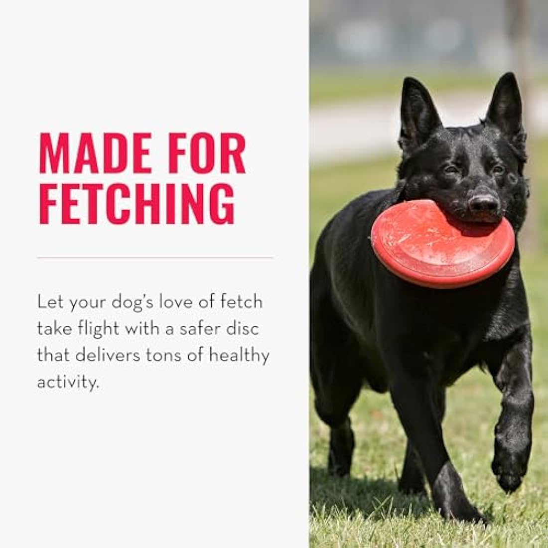 KONG Flyer – Durable Natural Rubber Flying Disc Dog Toy for Small Dogs