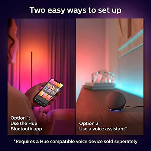 Philips Hue Gradient Lightstrip 1m Extension - LED Smart Lighting