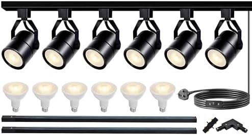 Bravsekai LED Track Lighting Kit | 6-Light H-Type PAR20 3000K Warm White