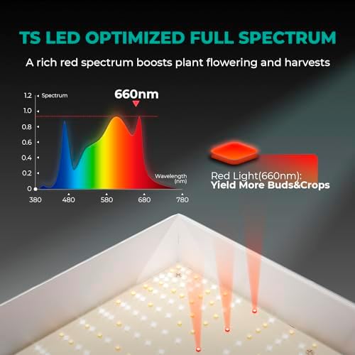 Mars Hydro TSW 2000 LED Grow Light | Full Spectrum Dimmable 300W Lamp