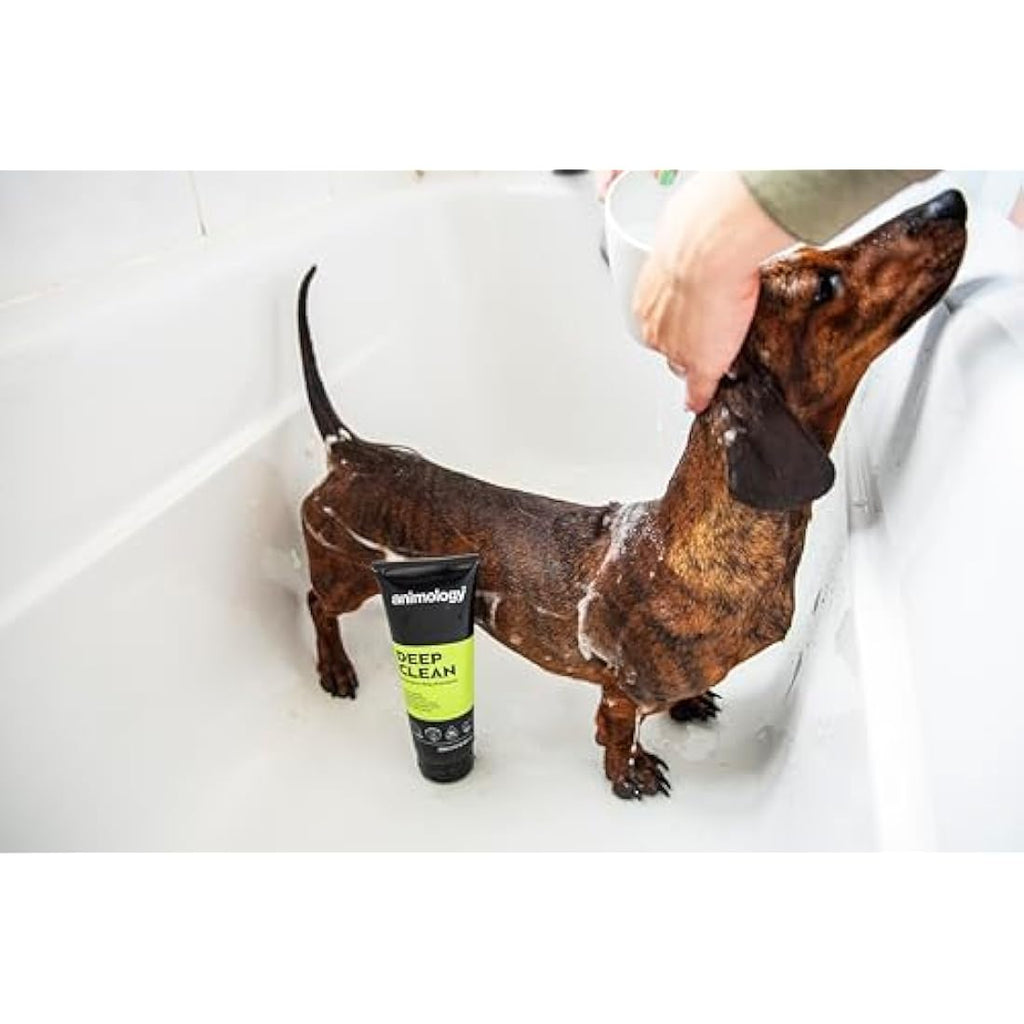 Animology Deep Clean Dog Shampoo – Deodorising & Easy Rinse – 2.5L