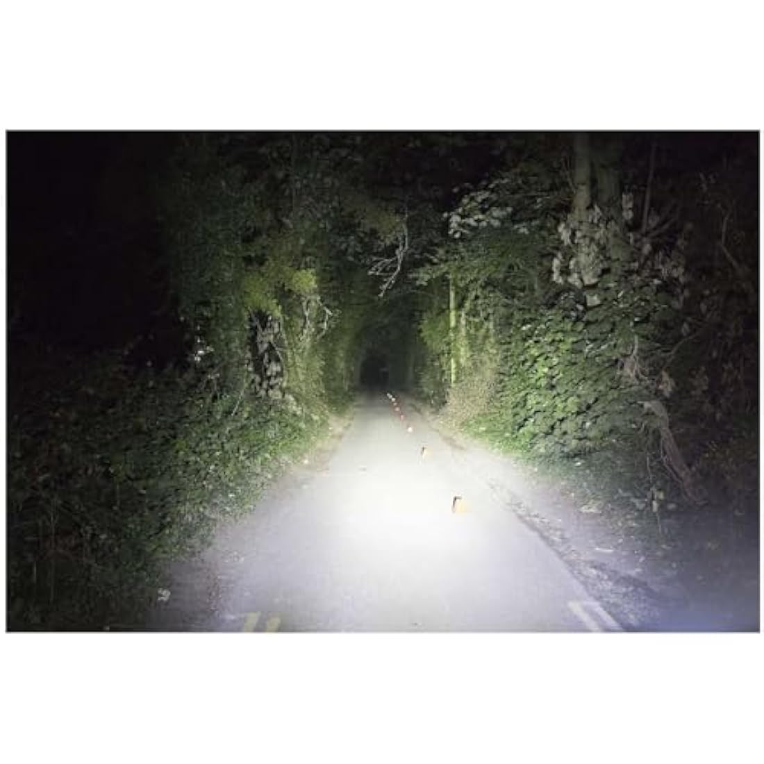 CatEye AMPP LED Bicycle Front Light – USB Rechargeable & Waterproof