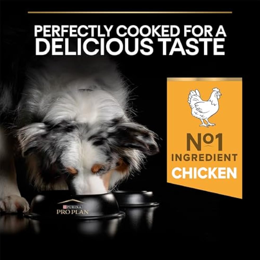Purina Pro Plan Adult Performance Chicken Dry Dog Food - 14kg Bag