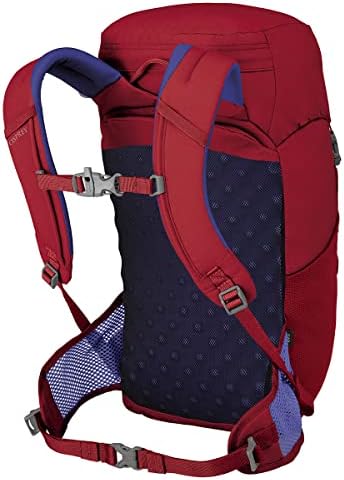 Osprey Jet 18 Youth Hiking Backpack – Unisex Kids Outdoor Daypack